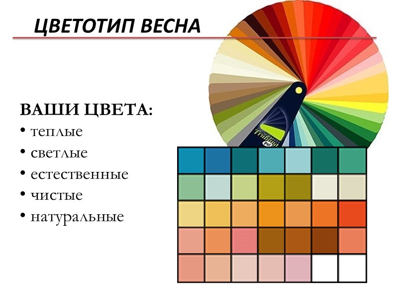 ВАШИ ЦВЕТА:  теплые  светлые  естественные  чистые   натуральные ЦВЕТОТИП